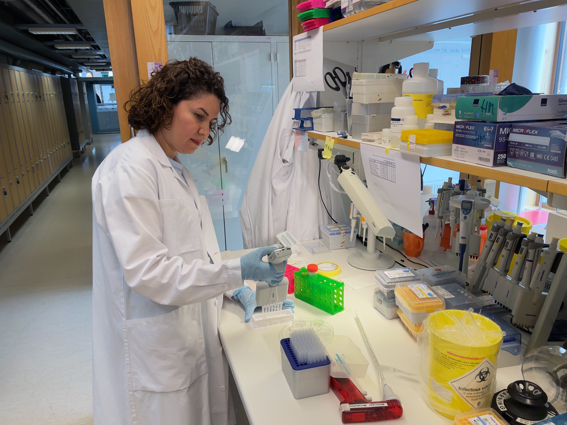 Sevdagheibi Foto Petraolsson